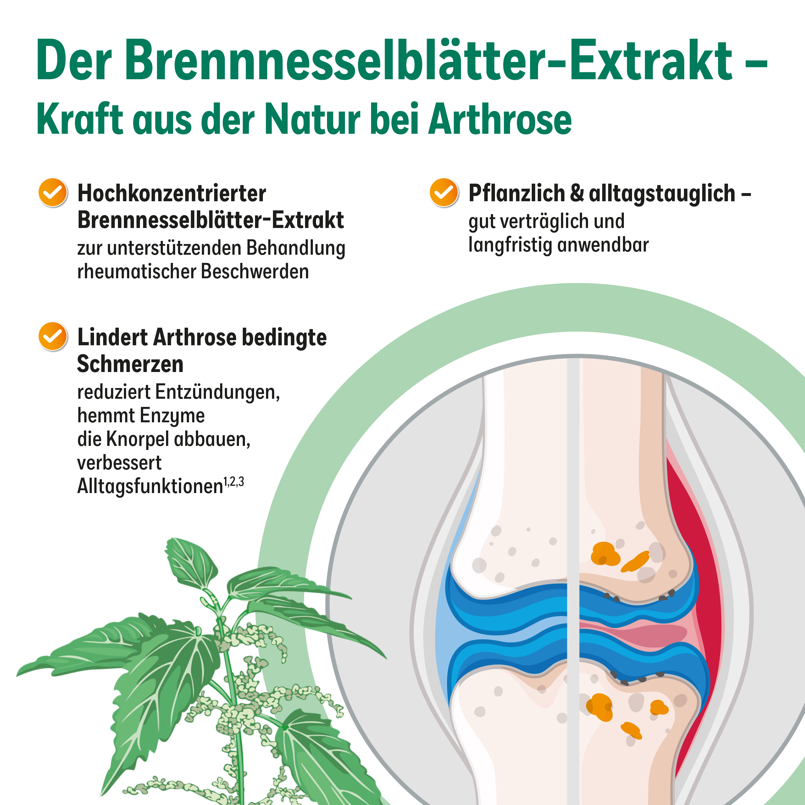 Vergleichstabelle: Hox alpha® vs. NSAR. Vorteile: Schmerzreduktion, Verträglichkeit, Alltag.